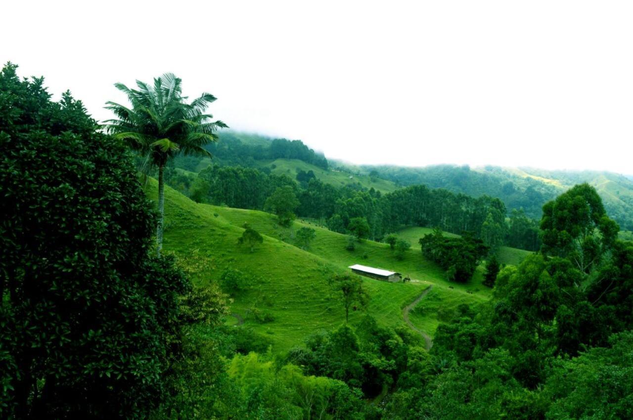 Mirador De Los Cedros Salento Buitenkant foto